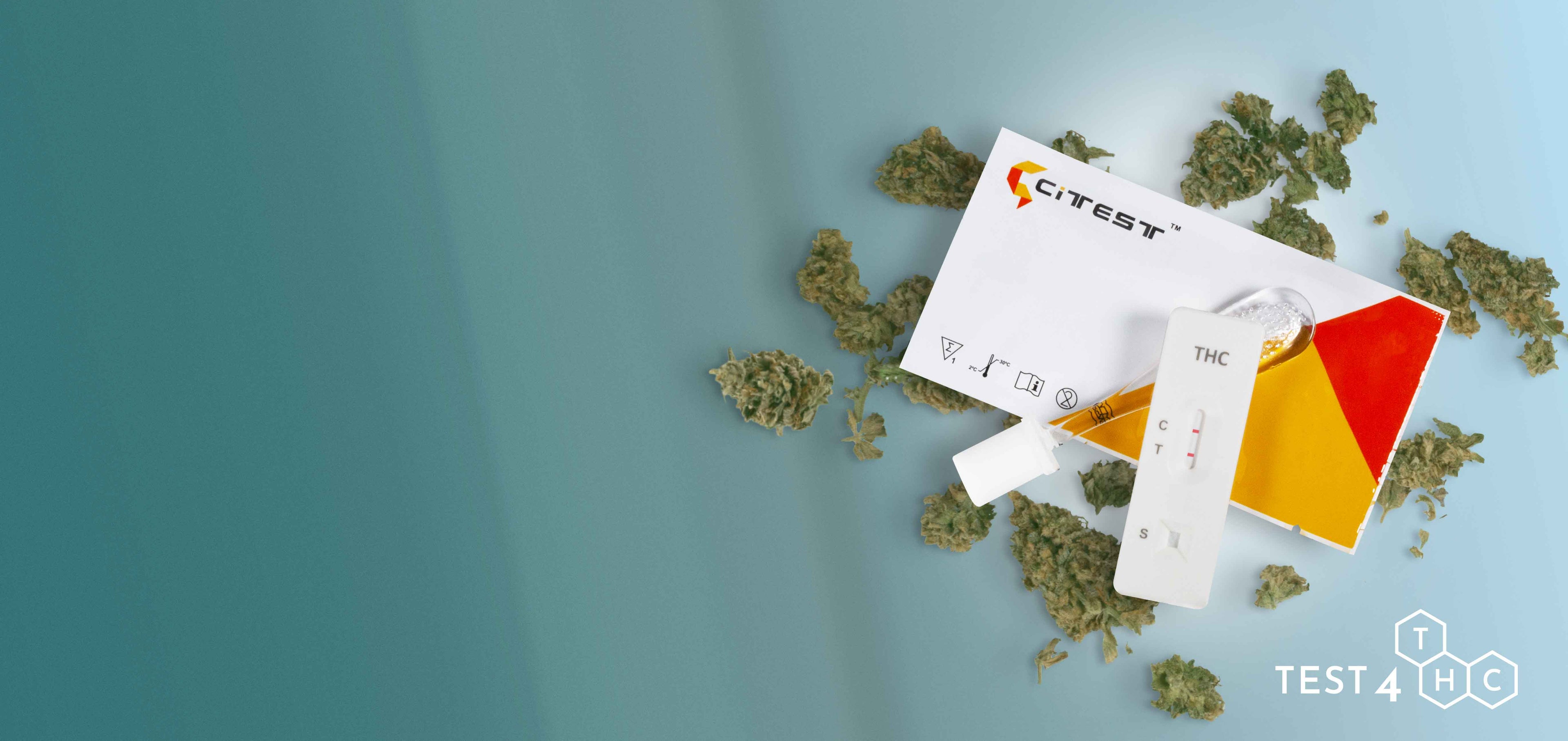 THC-Test mit Cannabis Blüten im Hintergrund