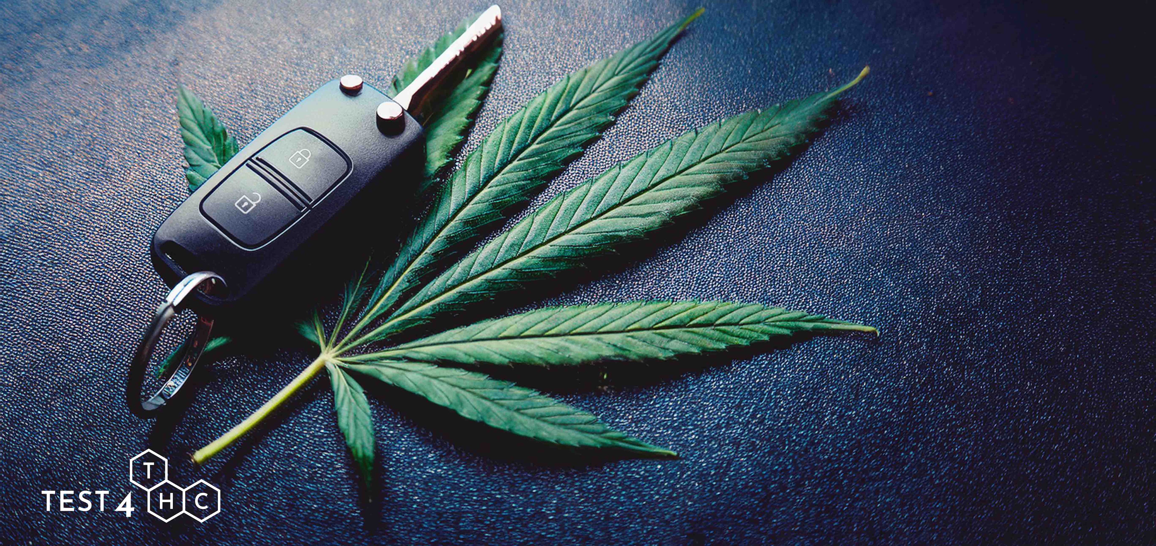 Cannabis Blatt mit einem Autoschlüssel